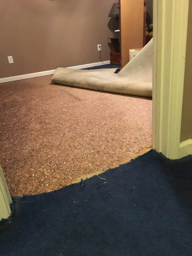 Carpet pad removal revealing water damage during Water Mitigation Services in Danvers